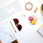 professional seo backlink services