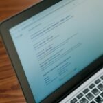 seo search engine authority